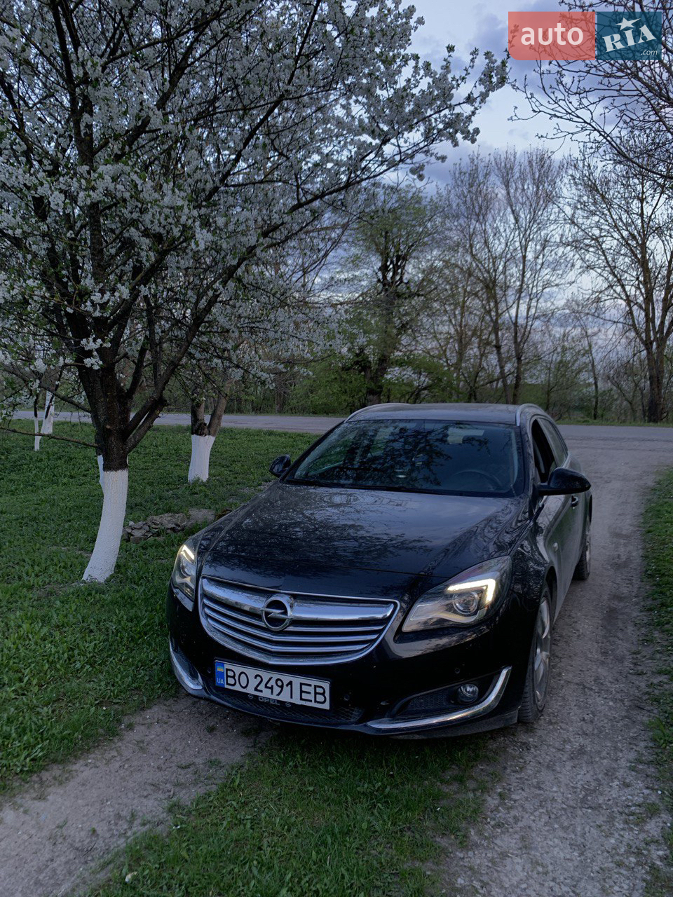 2013 Opel Insignia - мініатюра 18