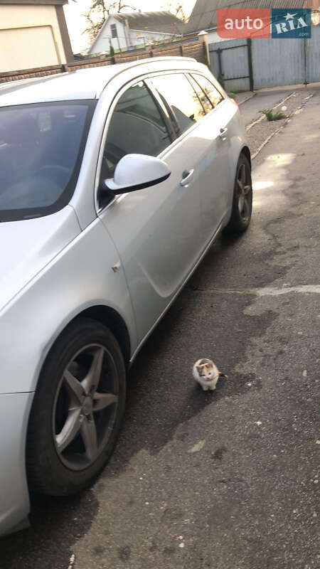 Универсал Opel Insignia 2010 в Чернобае фото 3 Универсал Opel Insignia 2010 в Чернобае