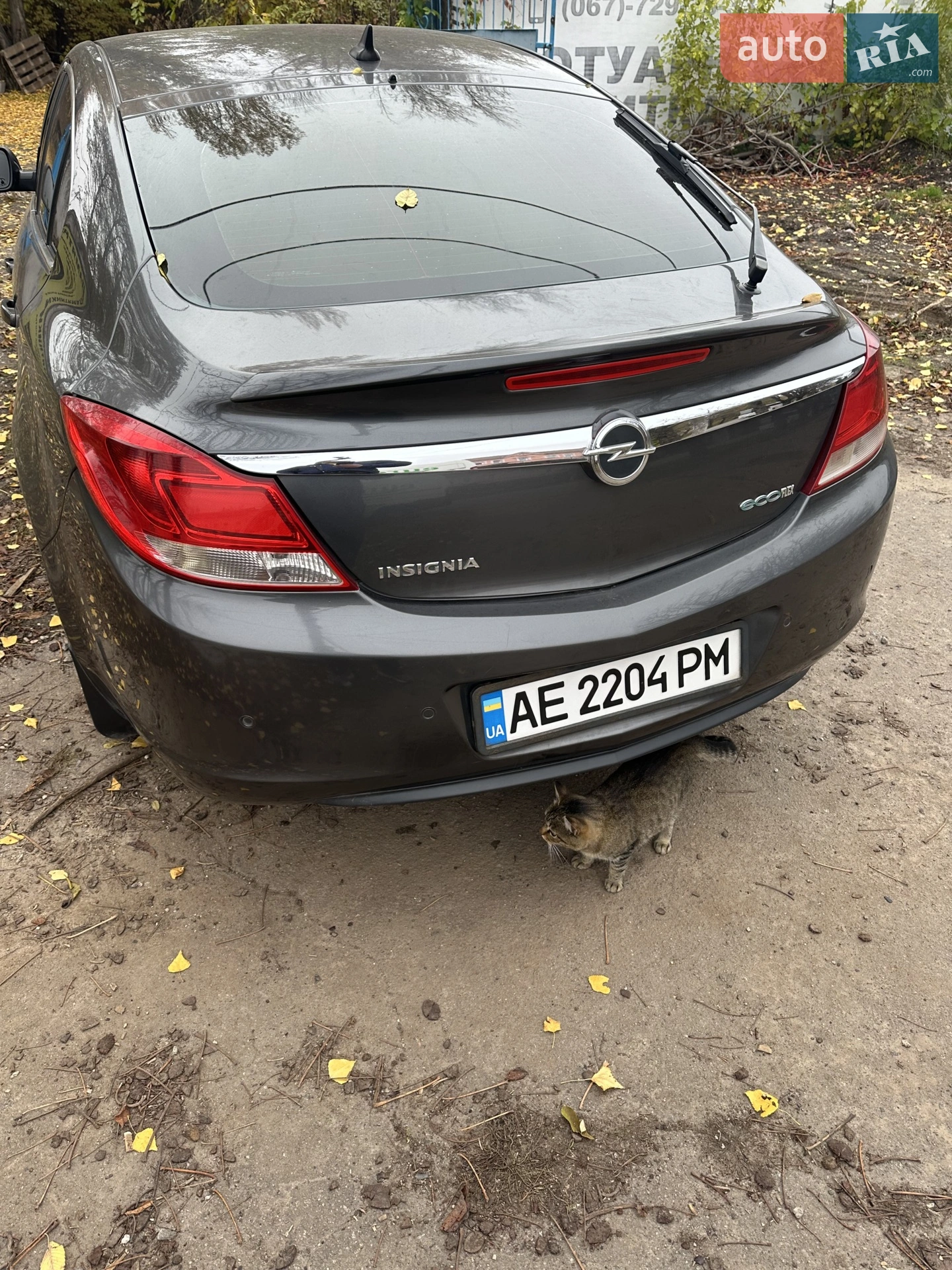2011 Opel Insignia - мініатюра 2