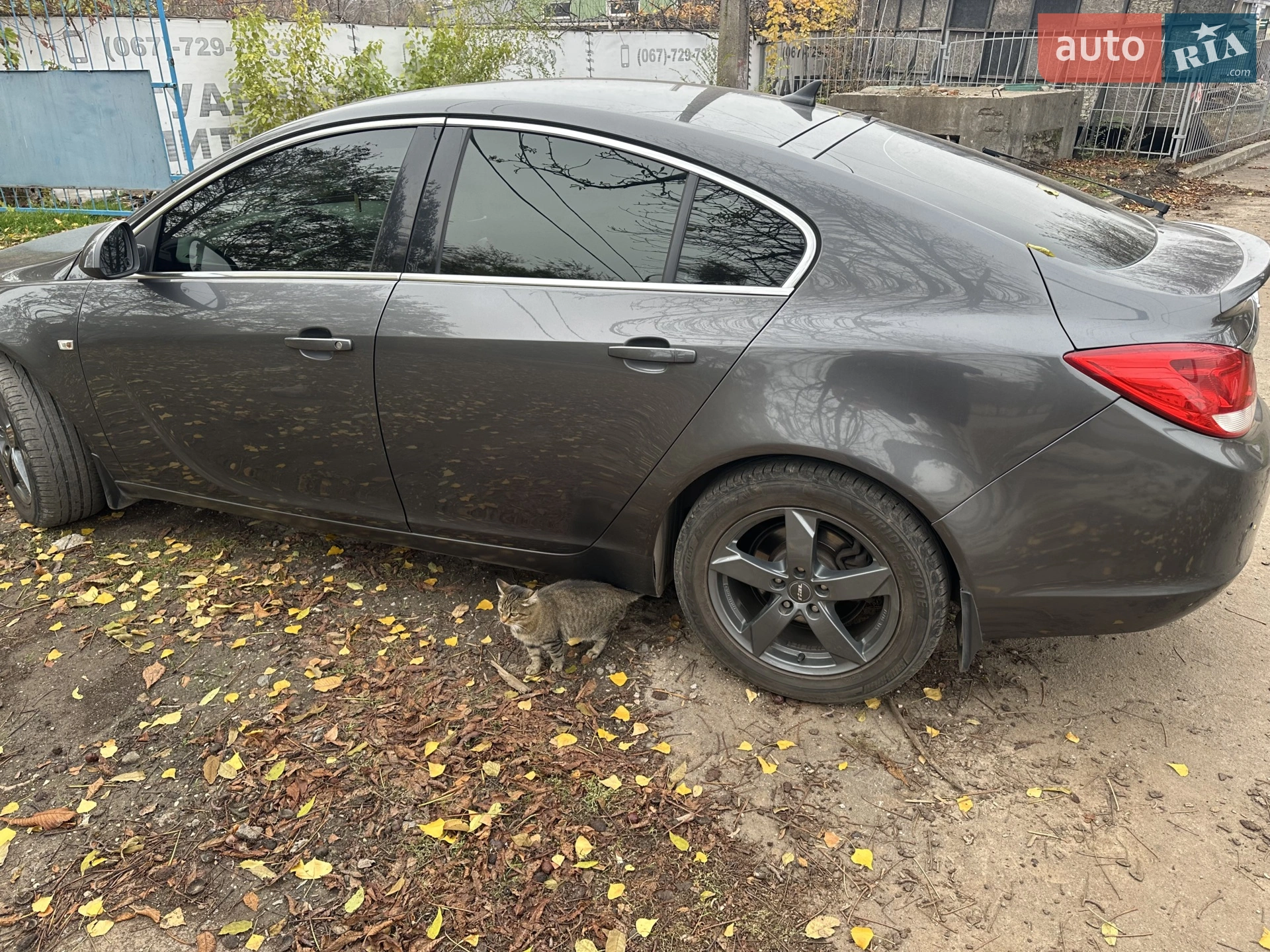 2011 Opel Insignia - мініатюра 4