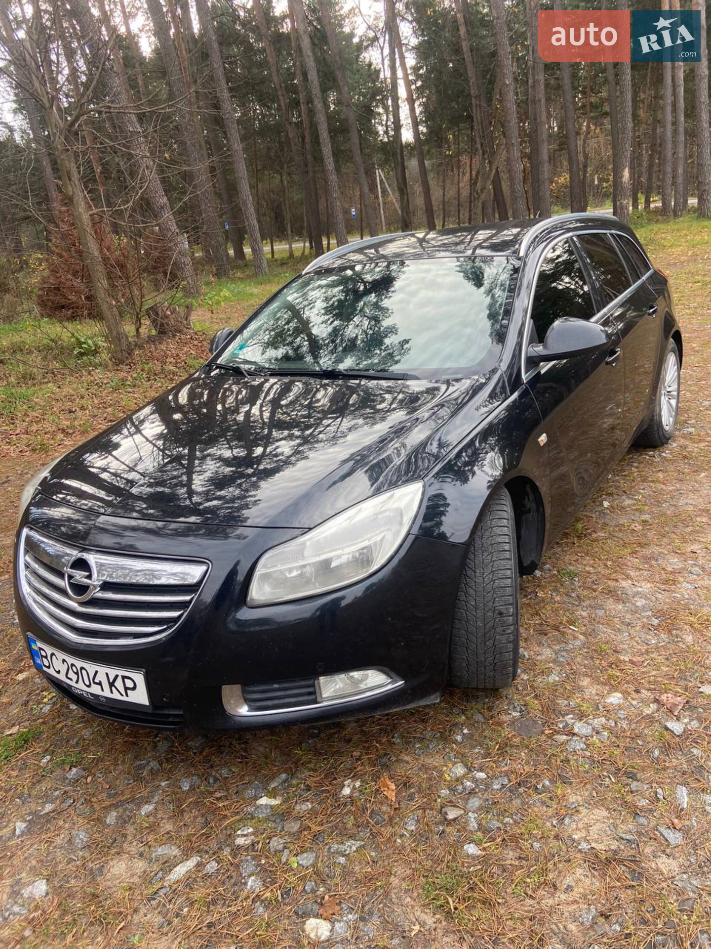 2013 Opel Insignia - мініатюра 2