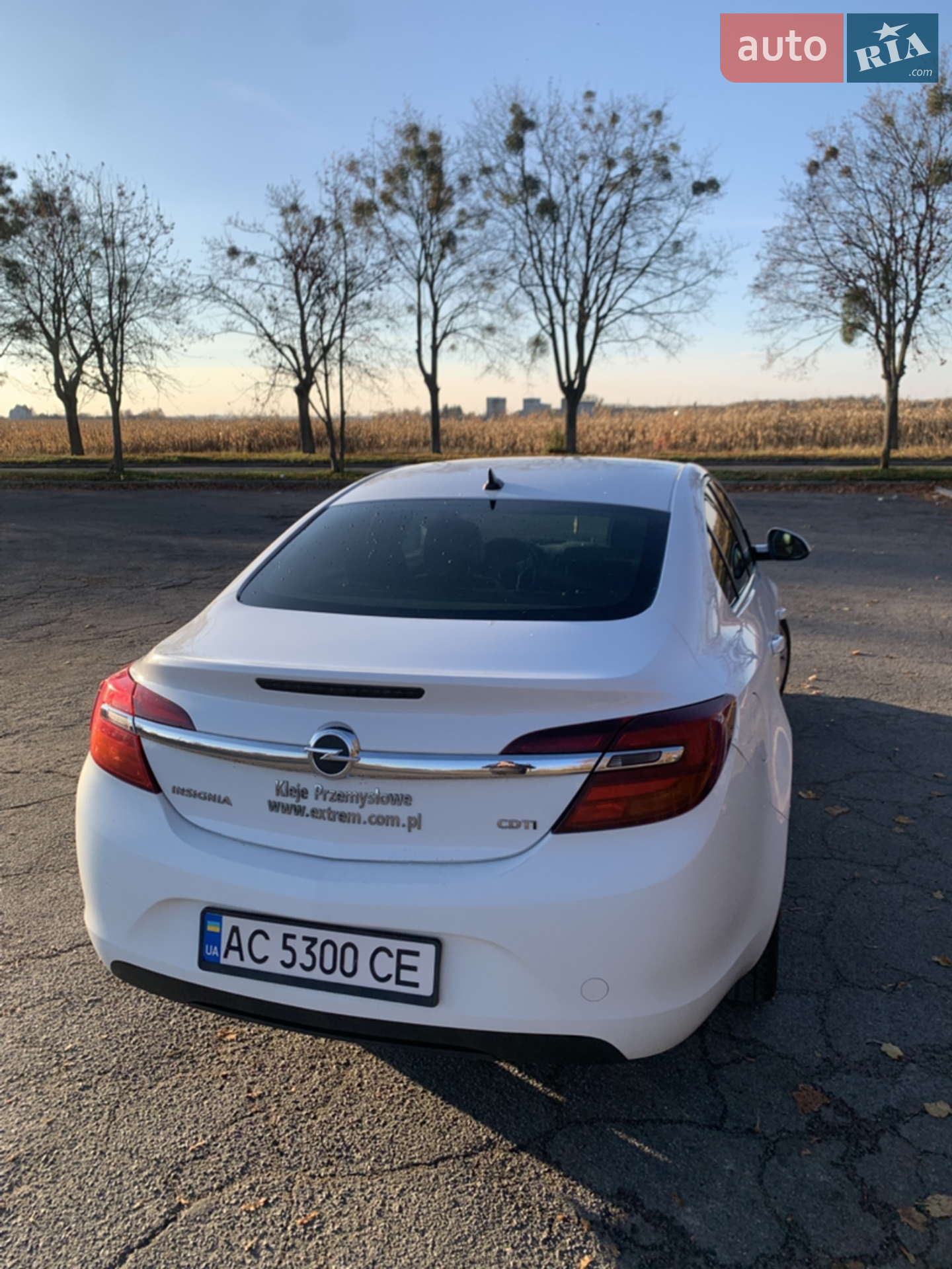 2013 Opel Insignia - мініатюра 6