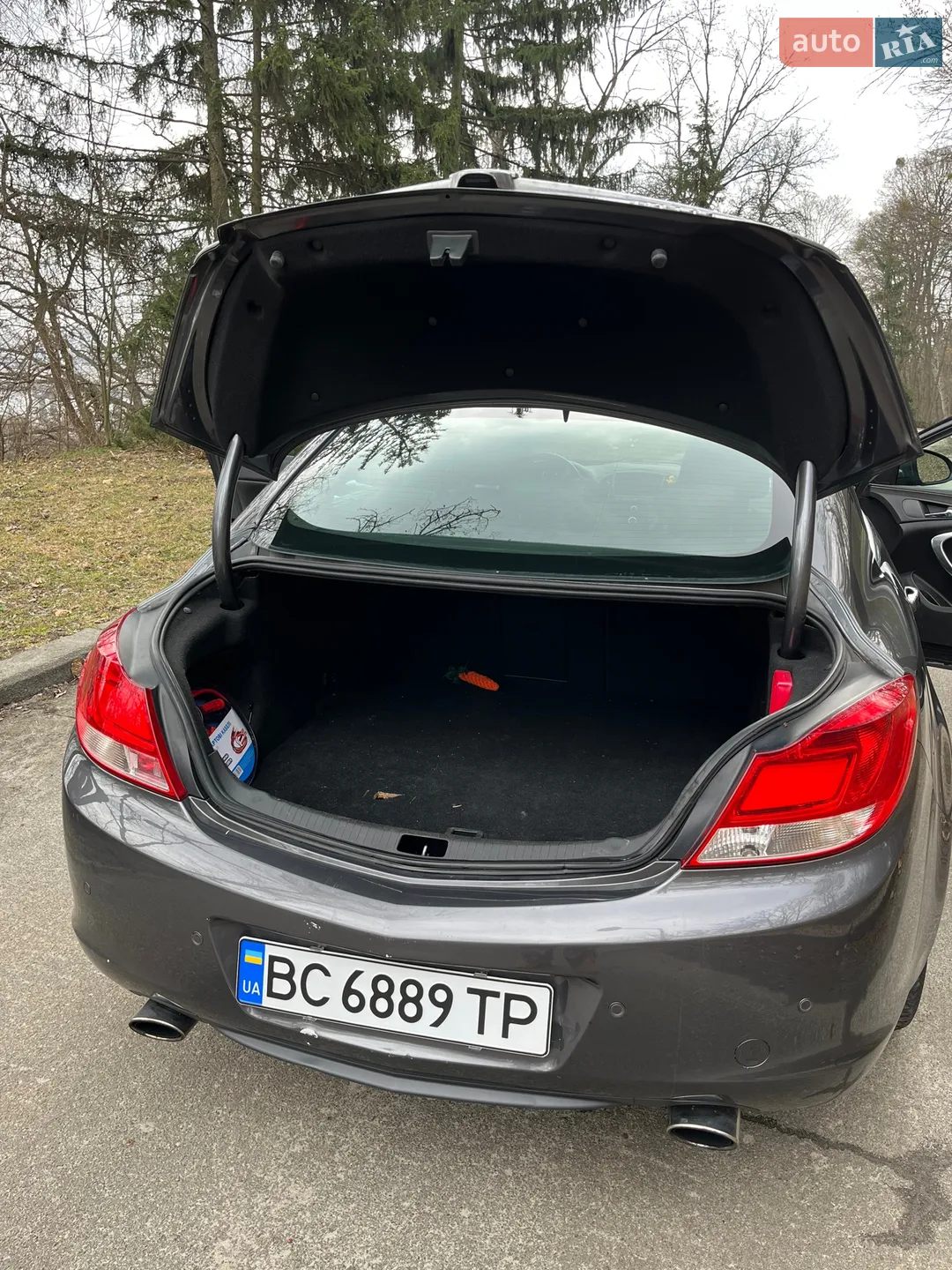 2010 Opel Insignia - мініатюра 18