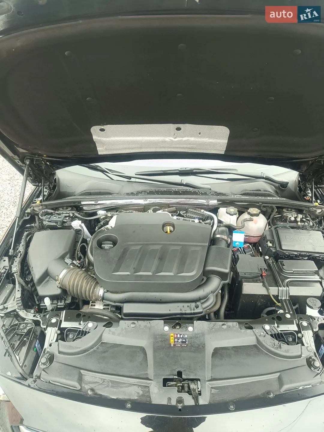 2021 Opel Insignia - мініатюра 46