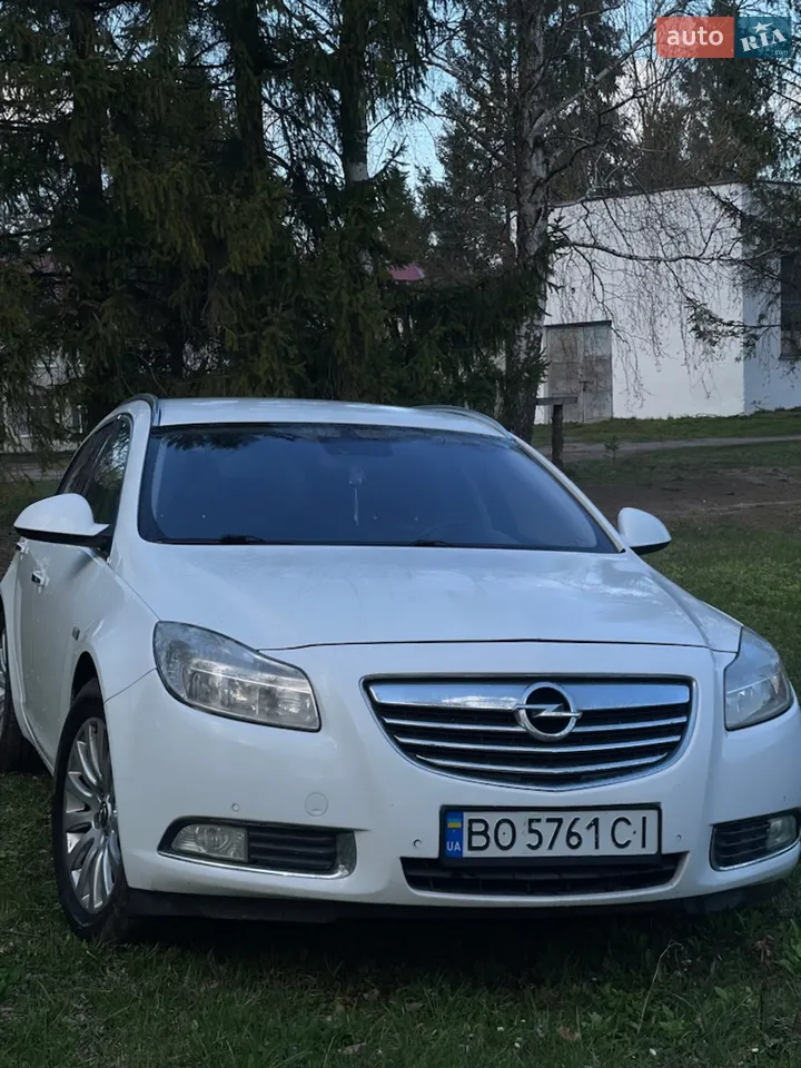 2010 Opel Insignia - мініатюра 13