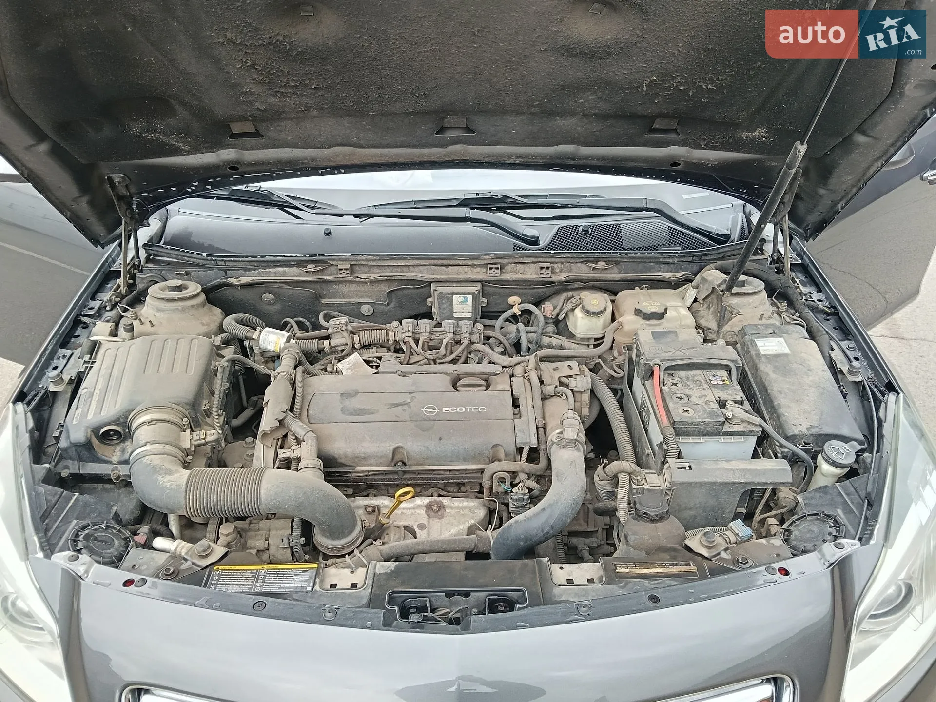 Opel Insignia 2009 VIN W0LGT87B391034273 фото оголошення 22 з 22