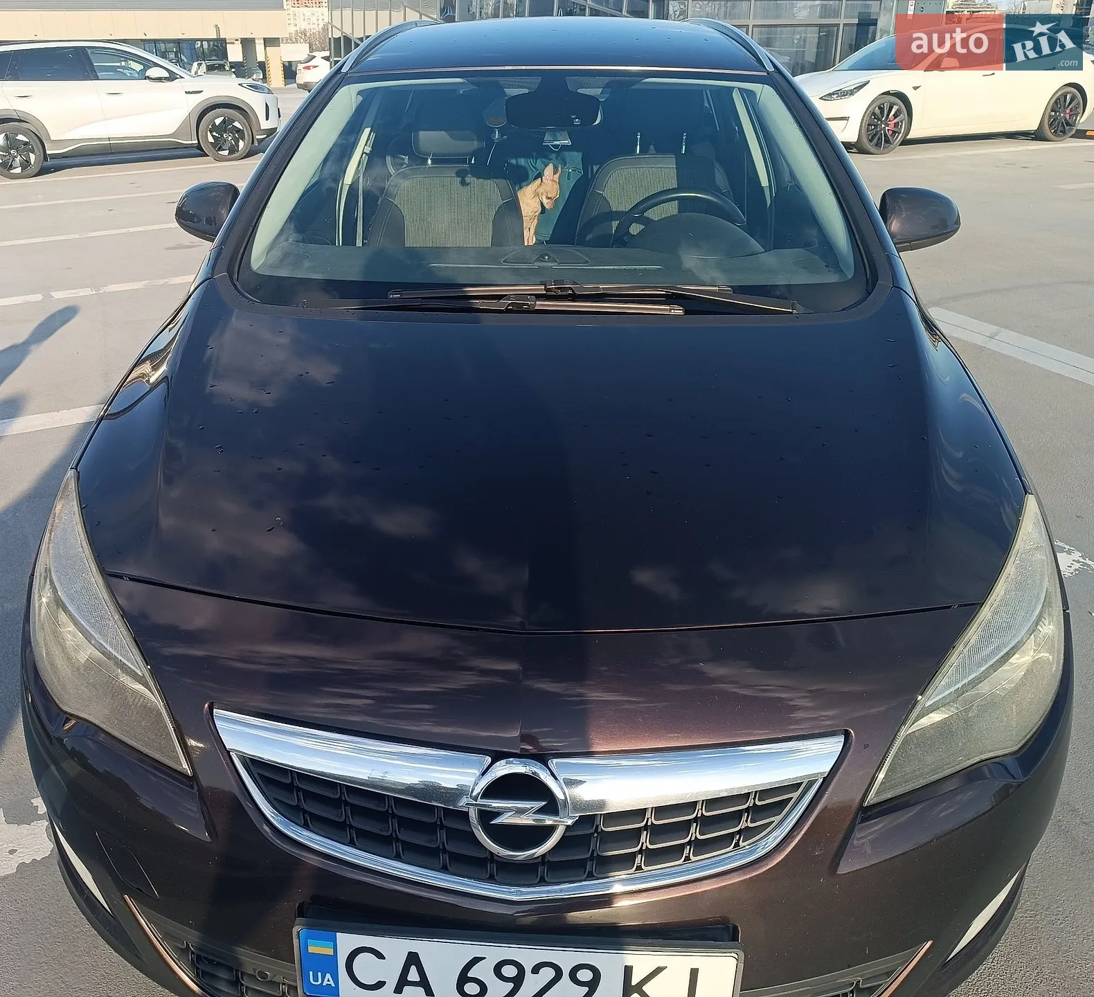 2012 Opel Insignia - мініатюра 5