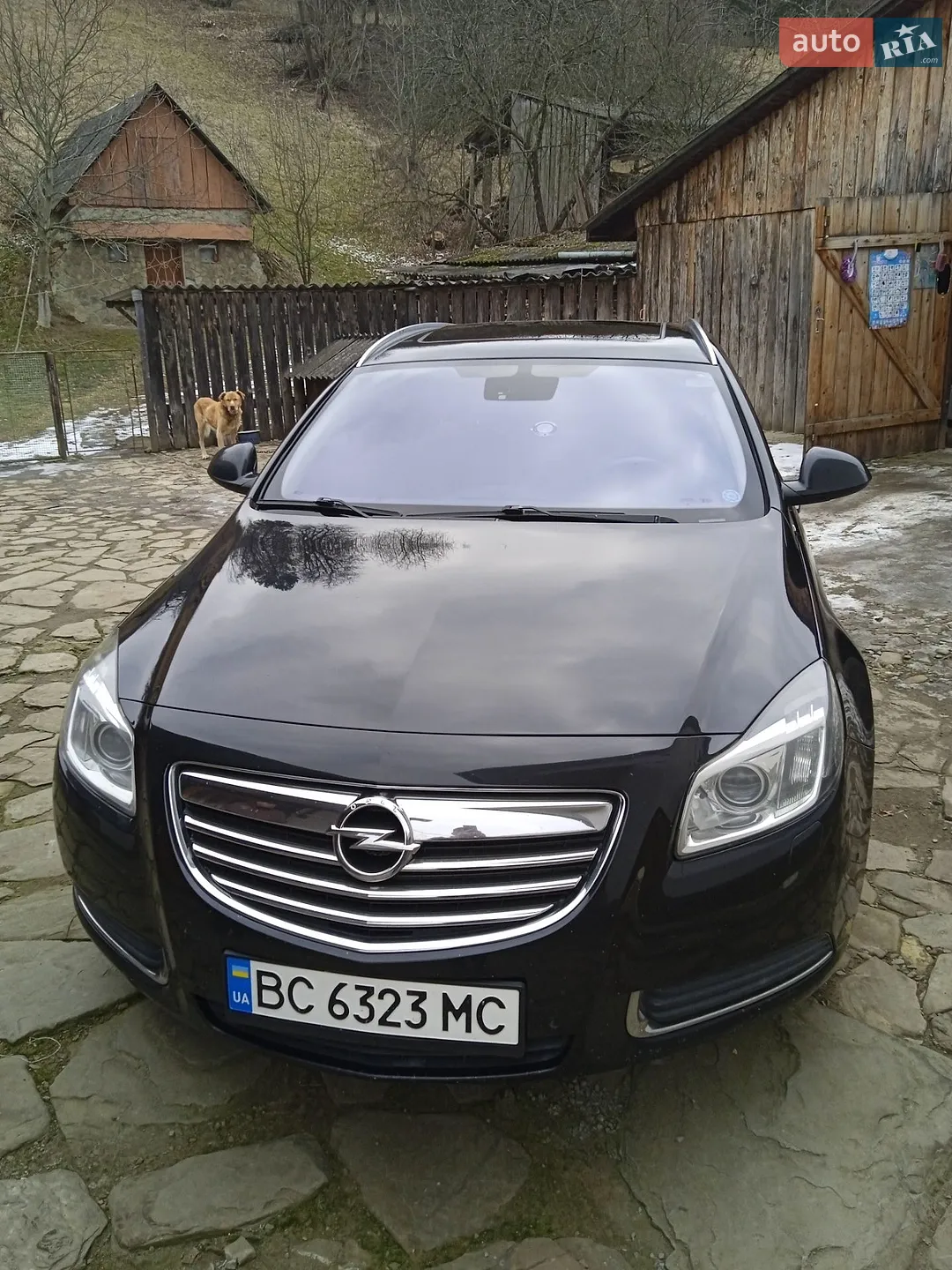 2010 Opel Insignia - мініатюра 15