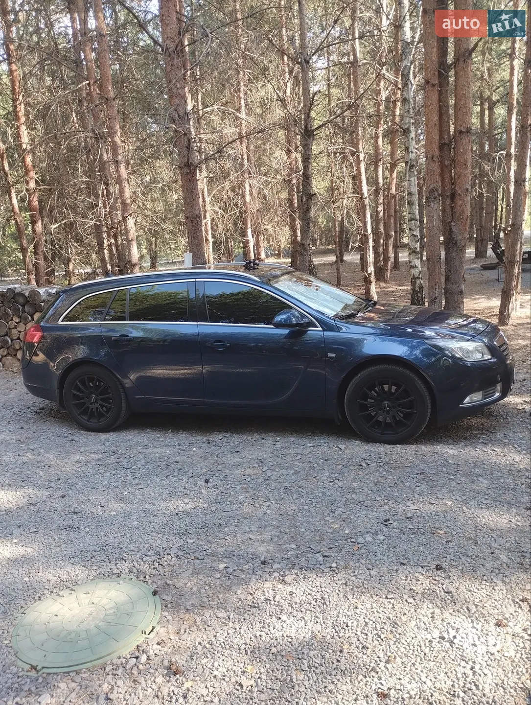 2010 Opel Insignia - мініатюра 11