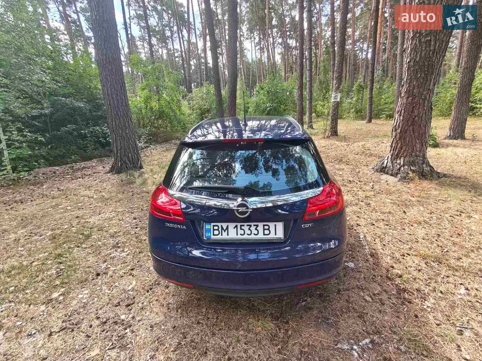 2011 Opel Insignia - мініатюра 13