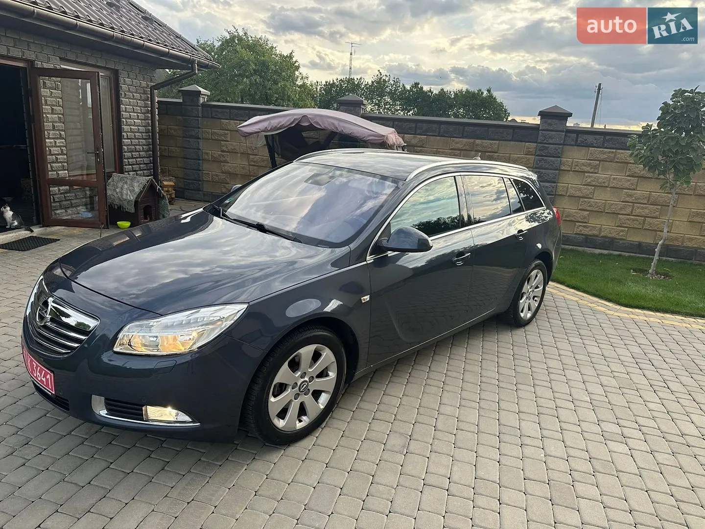 2010 Opel Insignia - мініатюра 3