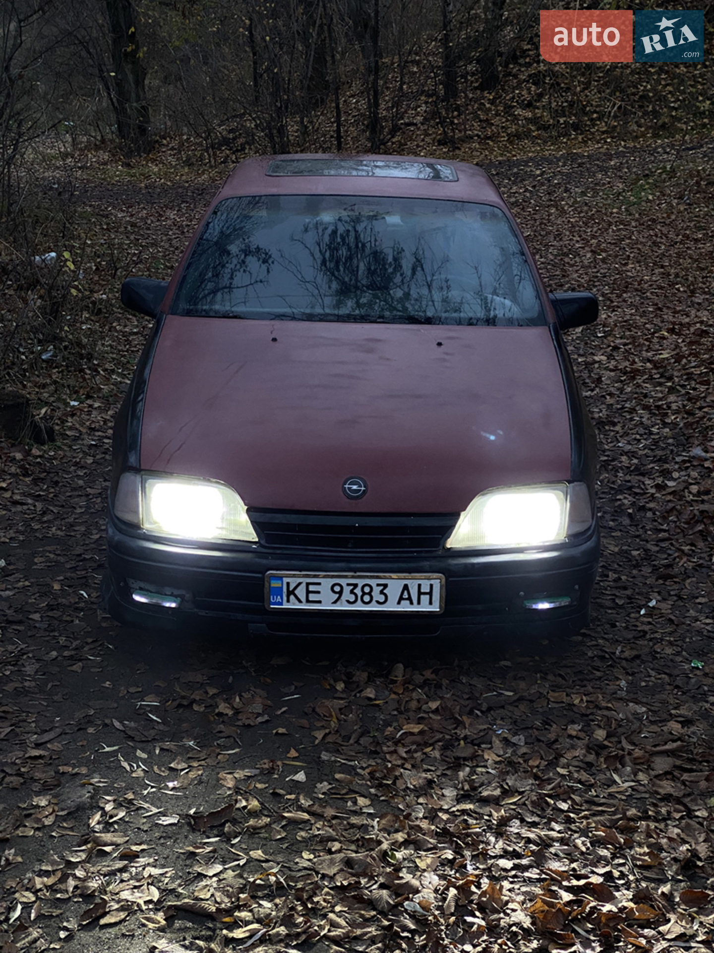 Opel Omega 1991 VIN W0L000017M1148810 фото оголошення 2 з 14