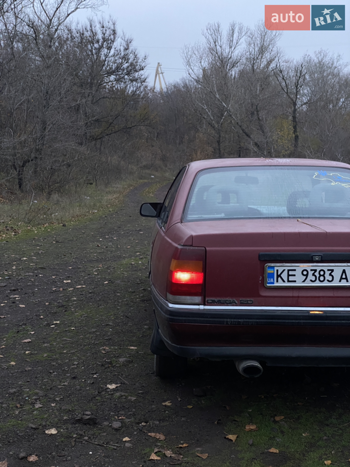 Opel Omega 1991 VIN W0L000017M1148810 фото оголошення 4 з 14