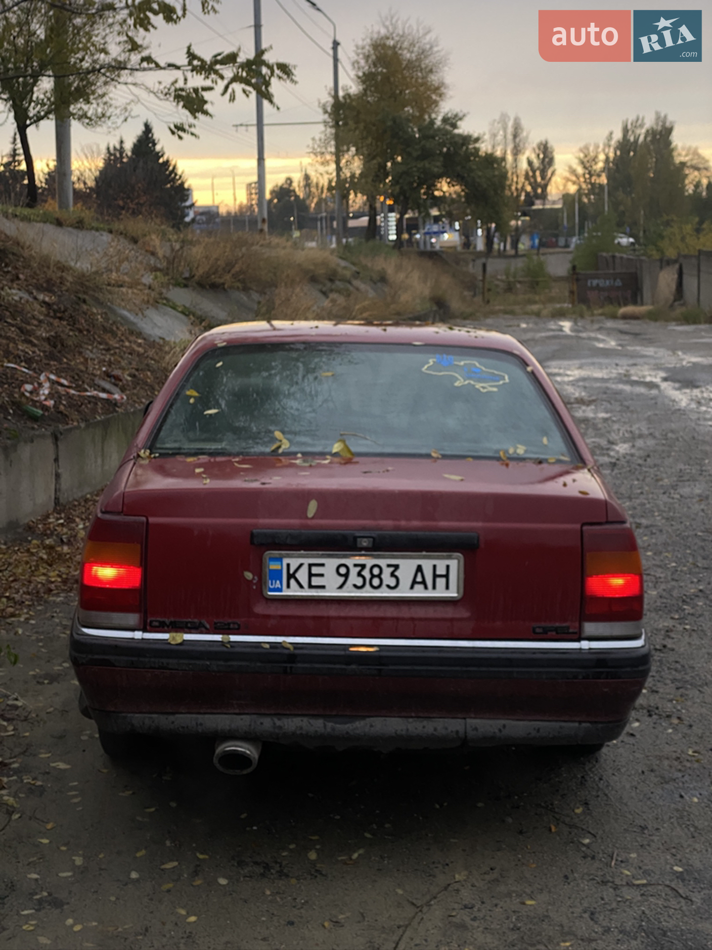 Opel Omega 1991 VIN W0L000017M1148810 фото оголошення 6 з 14