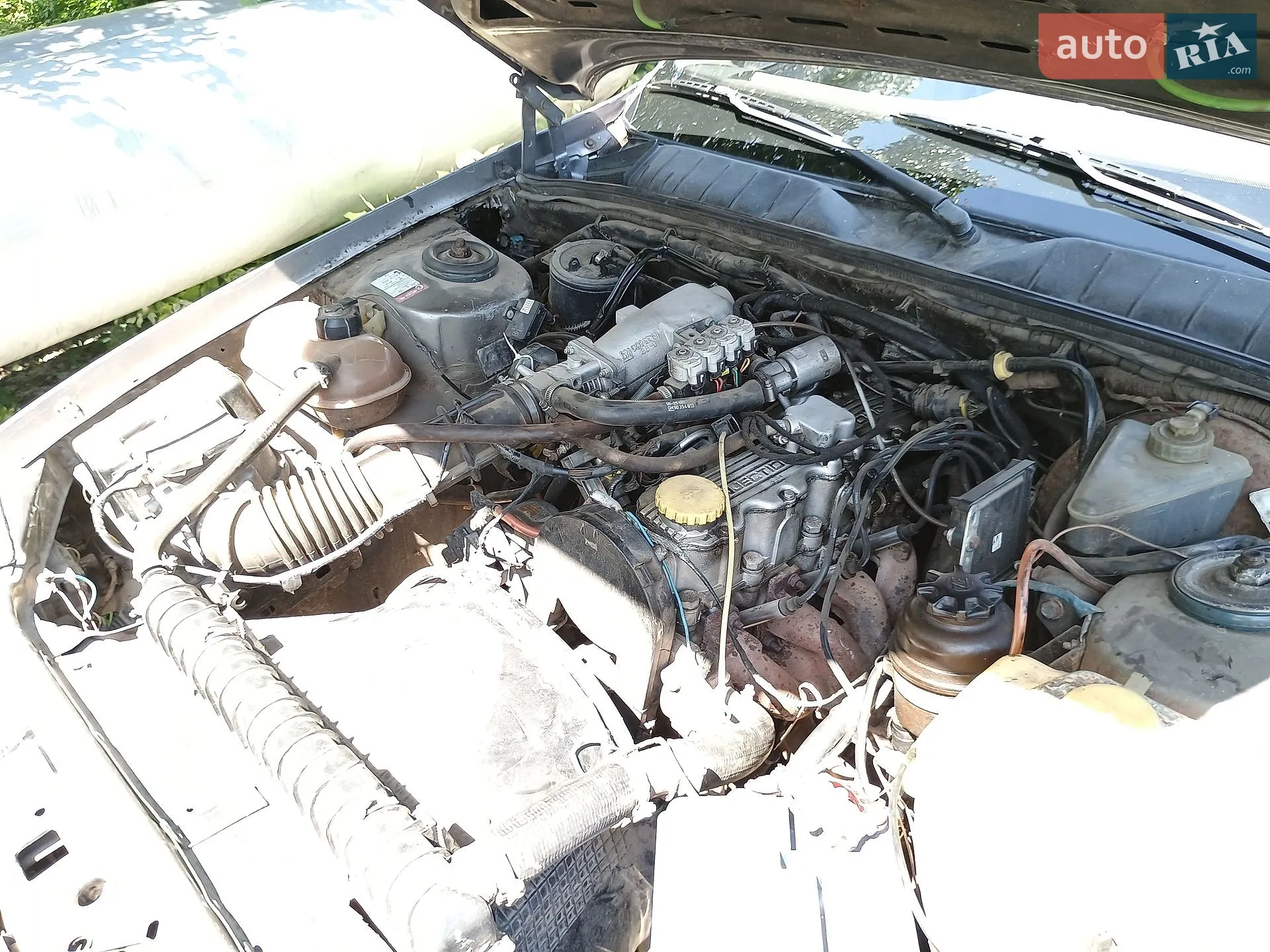 Opel Omega 1989 VIN W0L000017K1010783 фото оголошення 11 з 16