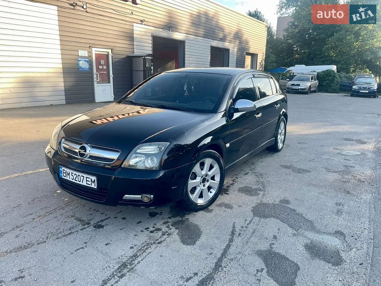Opel Signum 2005