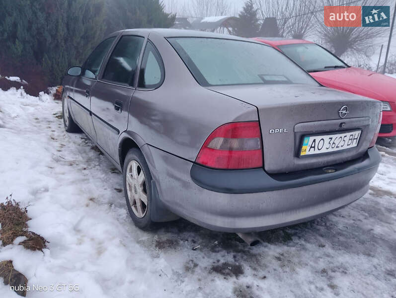 Лифтбек Opel Vectra 1998 в Солотвине