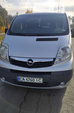 Вантажний фургон Opel Vivaro 2008 в Горішніх Плавнях