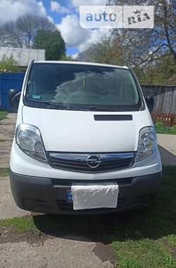 Минивэн Opel Vivaro 2010 в Ахтырке