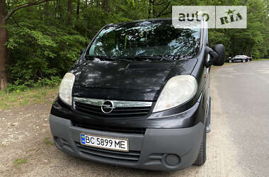 Минивэн Opel Vivaro 2008 в Радехове