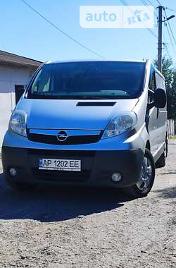 Вантажний фургон Opel Vivaro 2006 в Запоріжжі