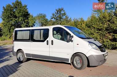 Минивэн Opel Vivaro 2009 в 