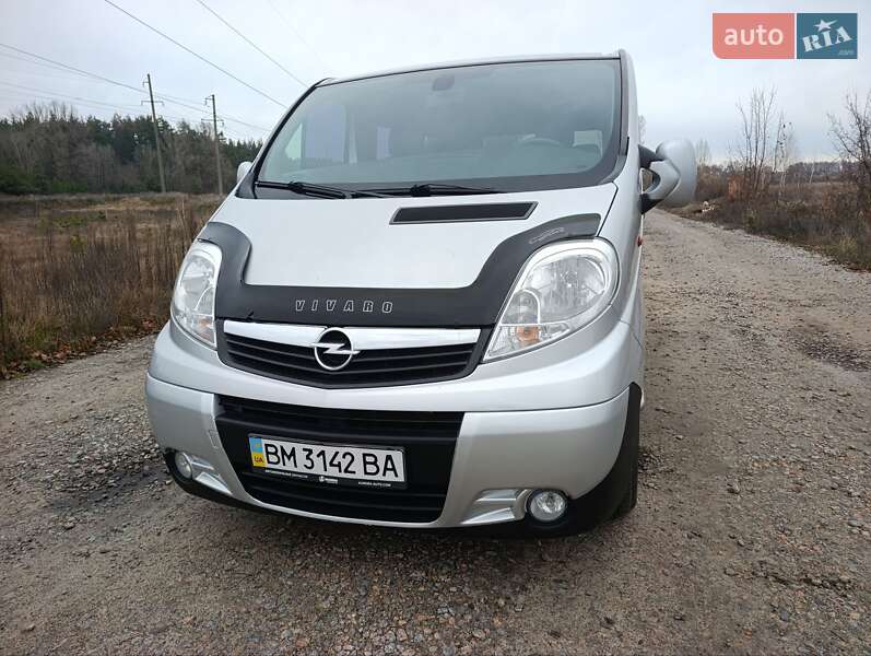 Минивэн Opel Vivaro 2010 в Ахтырке