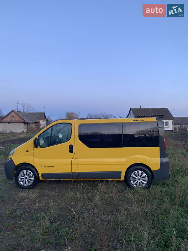 Минивэн Opel Vivaro 2004 в Теофиполе