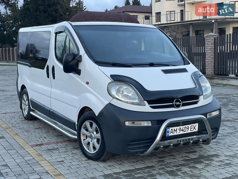 Минивэн Opel Vivaro 2006 в Староконстантинове