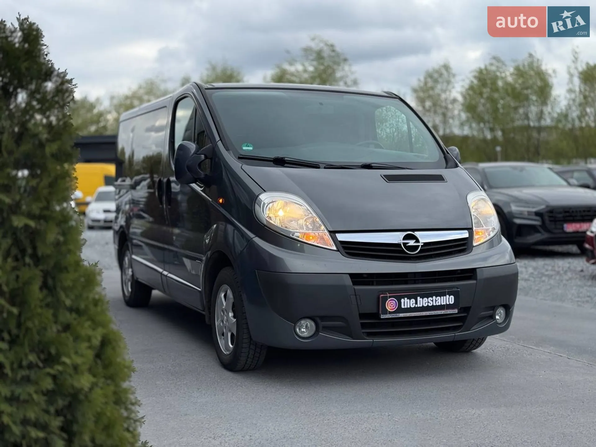 2010 Opel Vivaro - мініатюра 31