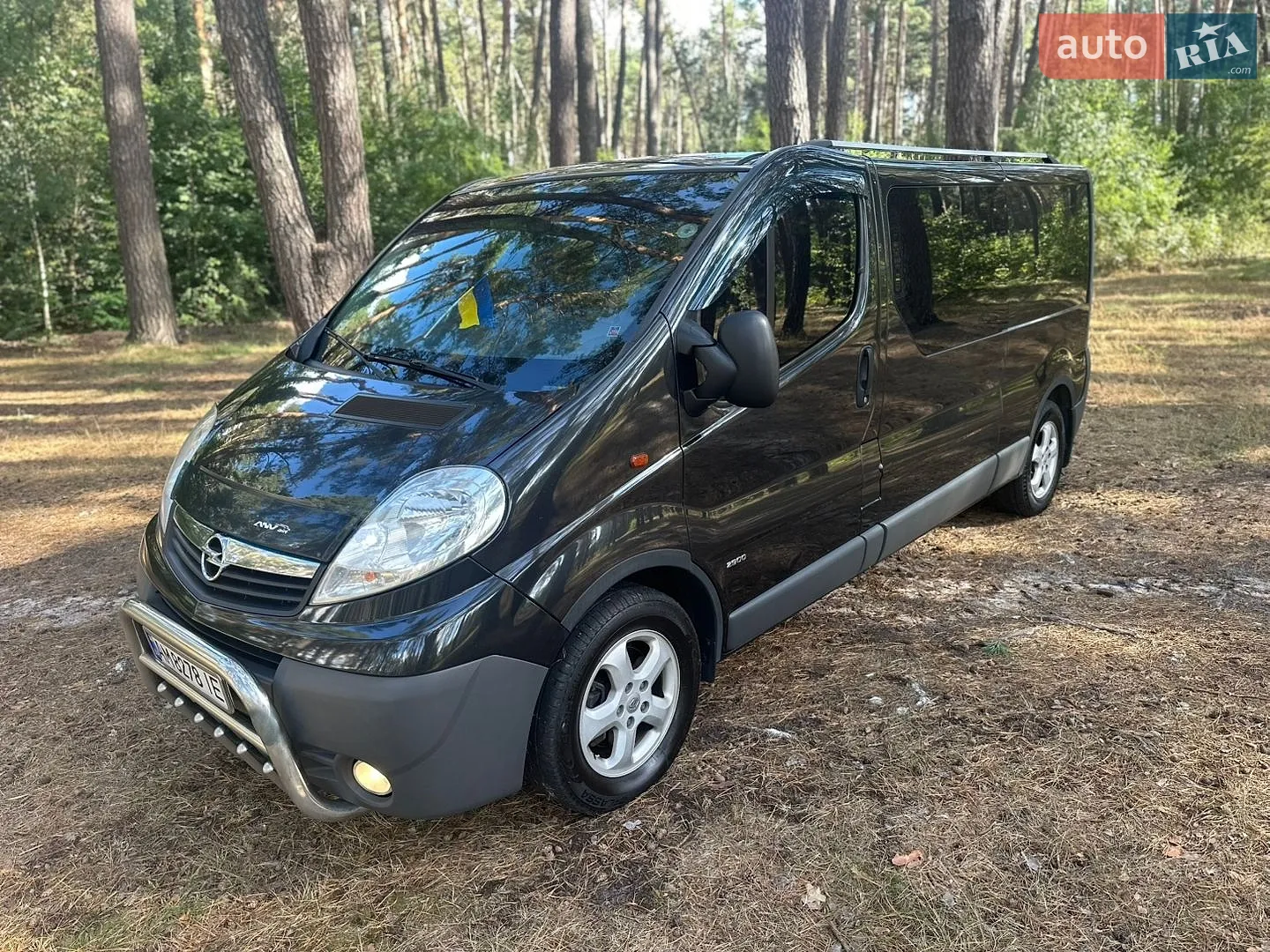 2013 Opel Vivaro - фото 1