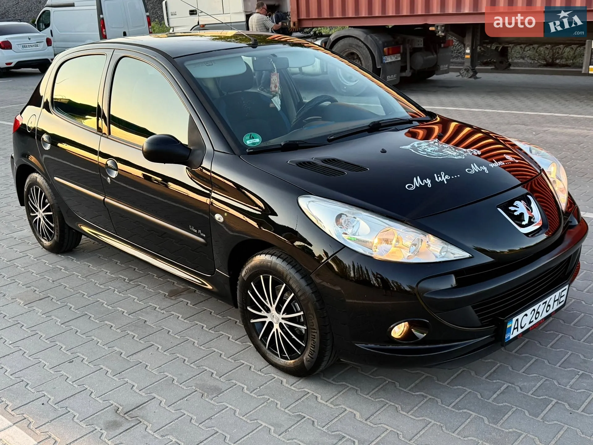 2010 Peugeot 206 - мініатюра 16