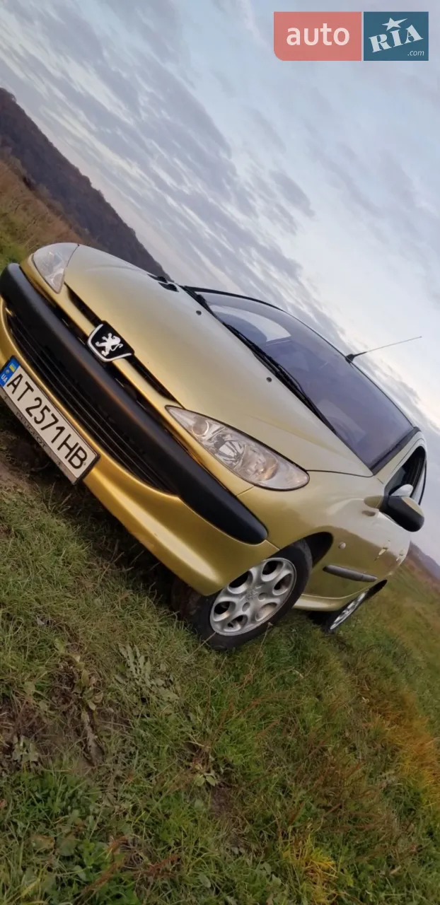 2001 Peugeot 206 - мініатюра 12