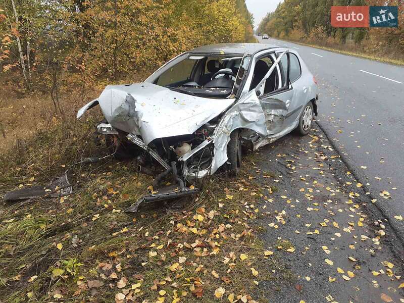 Хэтчбек Peugeot 206 2004 в Староконстантинове