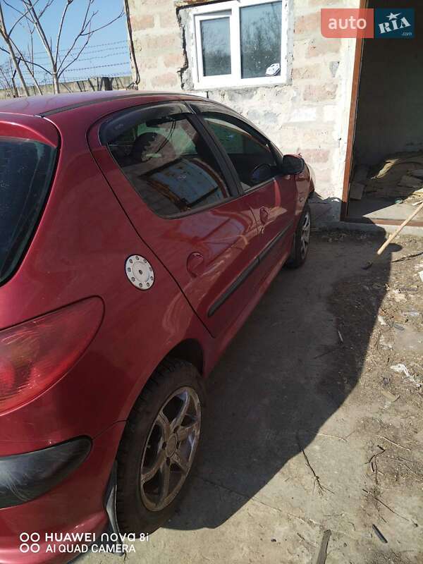 Хетчбек Peugeot 206 2004 в Кривому Розі