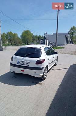 Хетчбек Peugeot 206 2007 в 