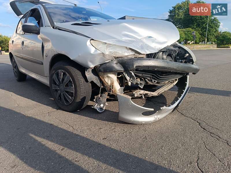 Хэтчбек Peugeot 206 2003 в 