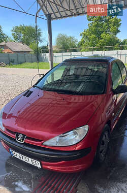 Хэтчбек Peugeot 206 2002 в Глобине