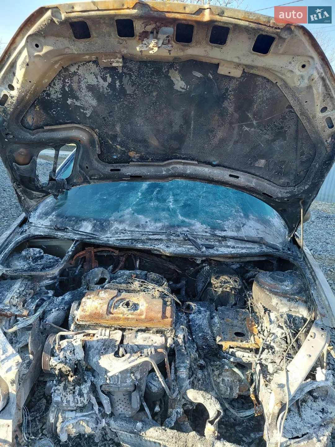 2006 Peugeot 206 - мініатюра 5