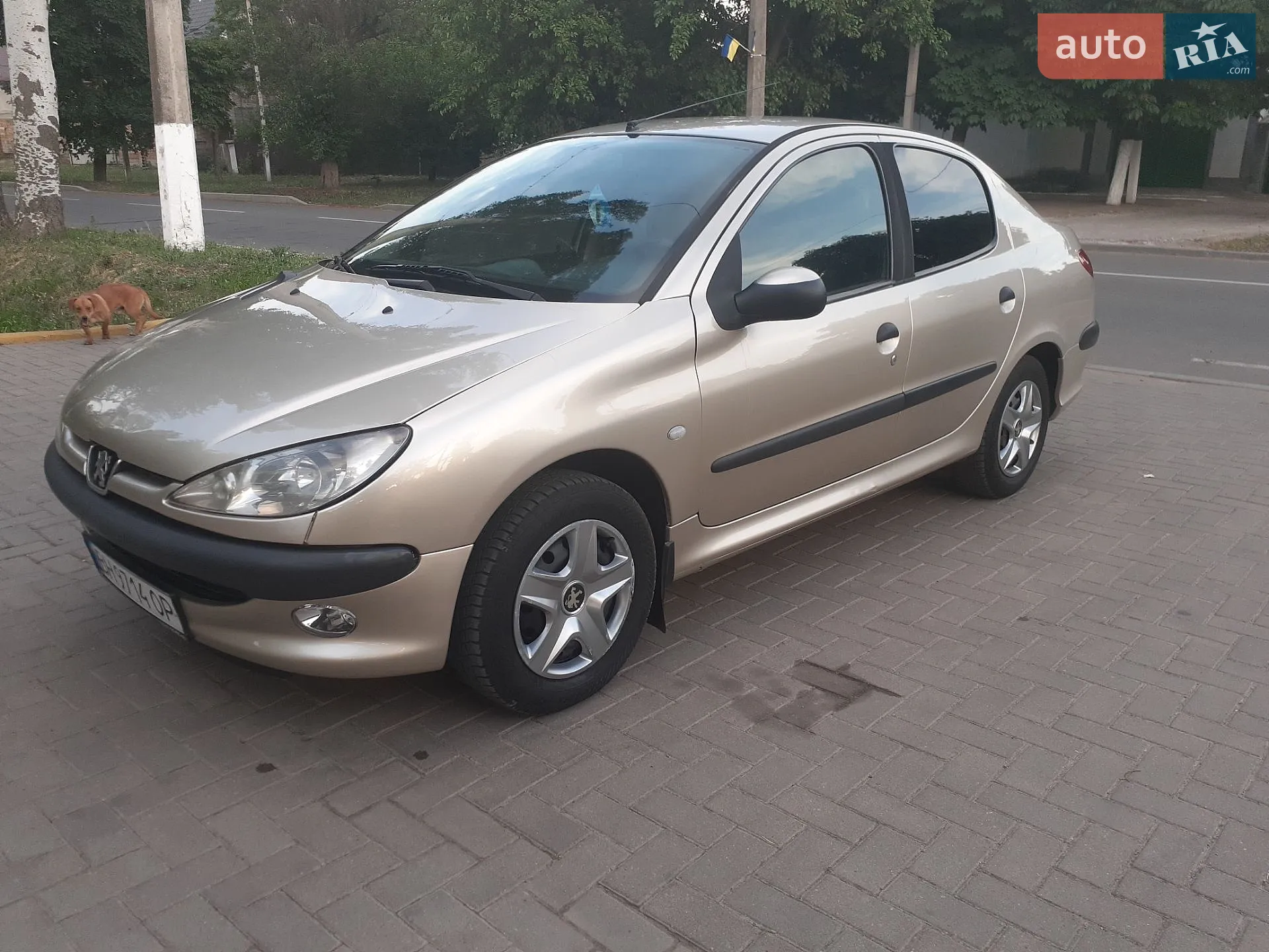 2008 Peugeot 206 - мініатюра 2