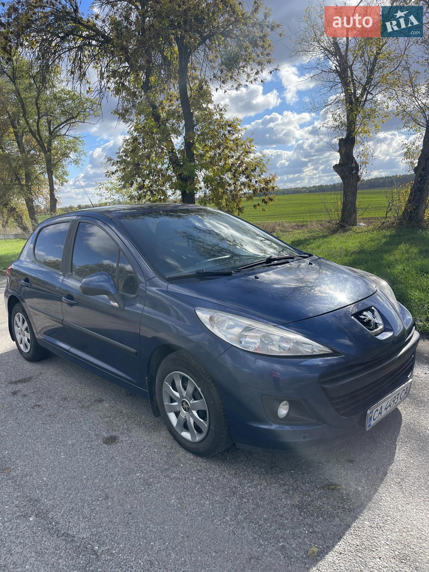 2010 Peugeot 207 - мініатюра 3