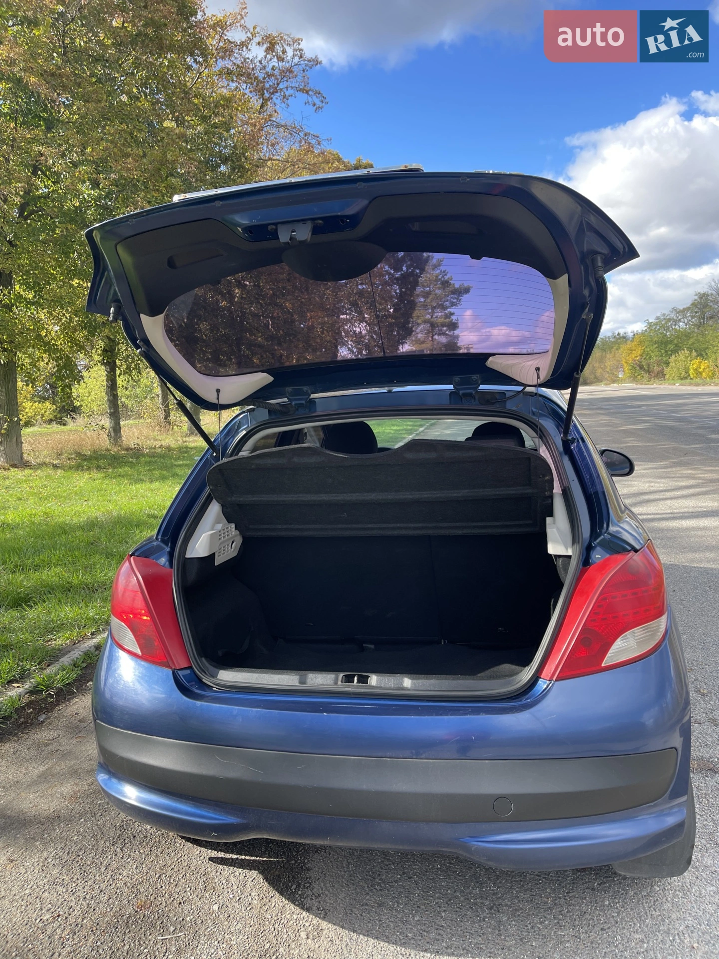 2010 Peugeot 207 - мініатюра 6