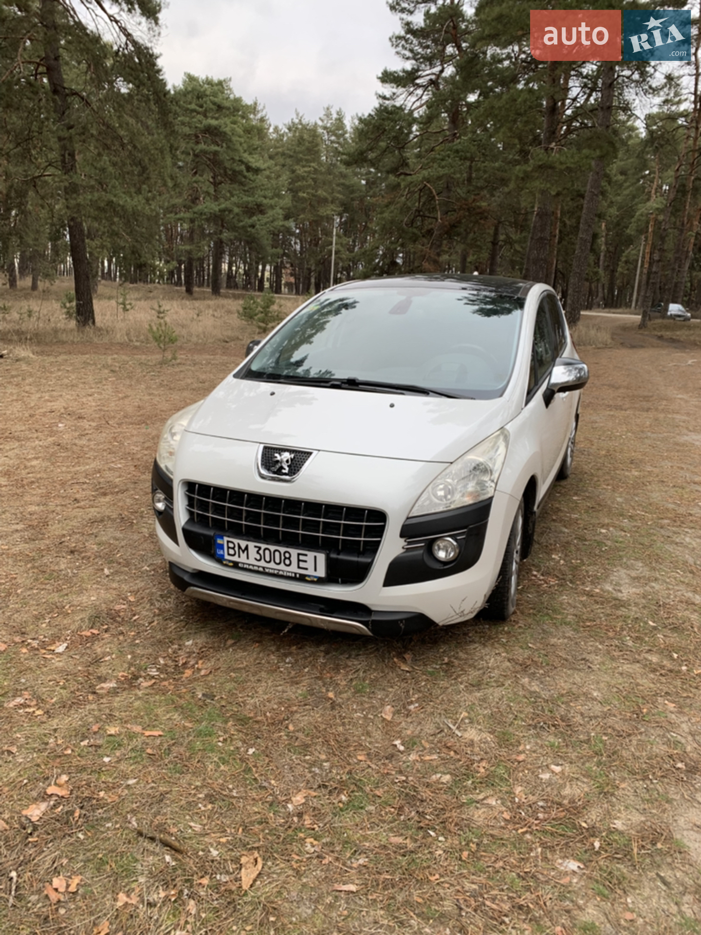 2010 Peugeot 3008 - фото 1