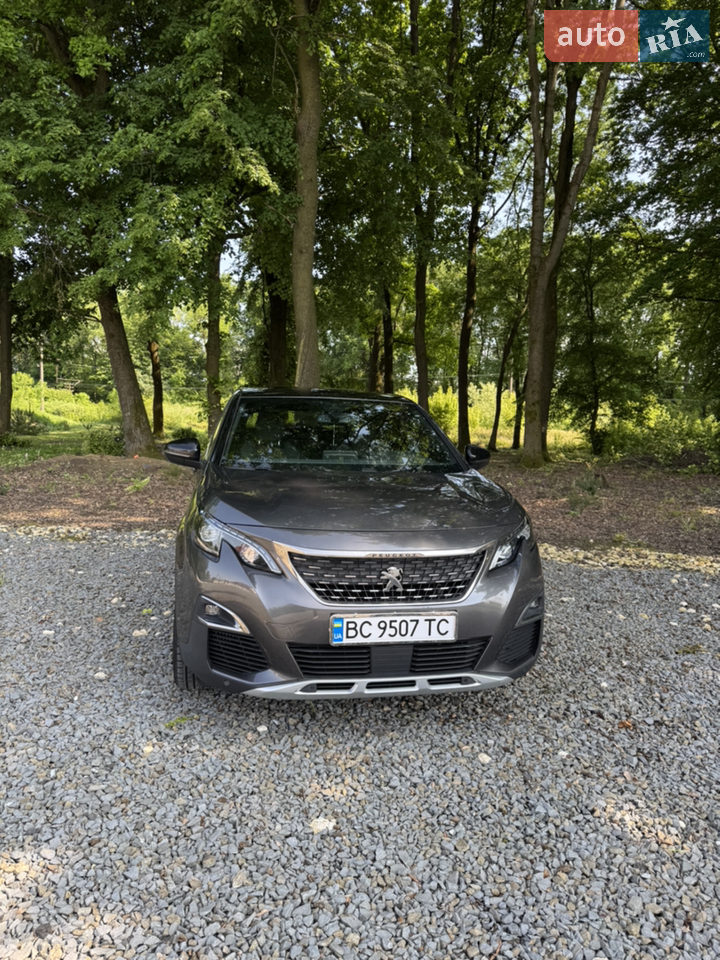 2017 Peugeot 3008 - мініатюра 2