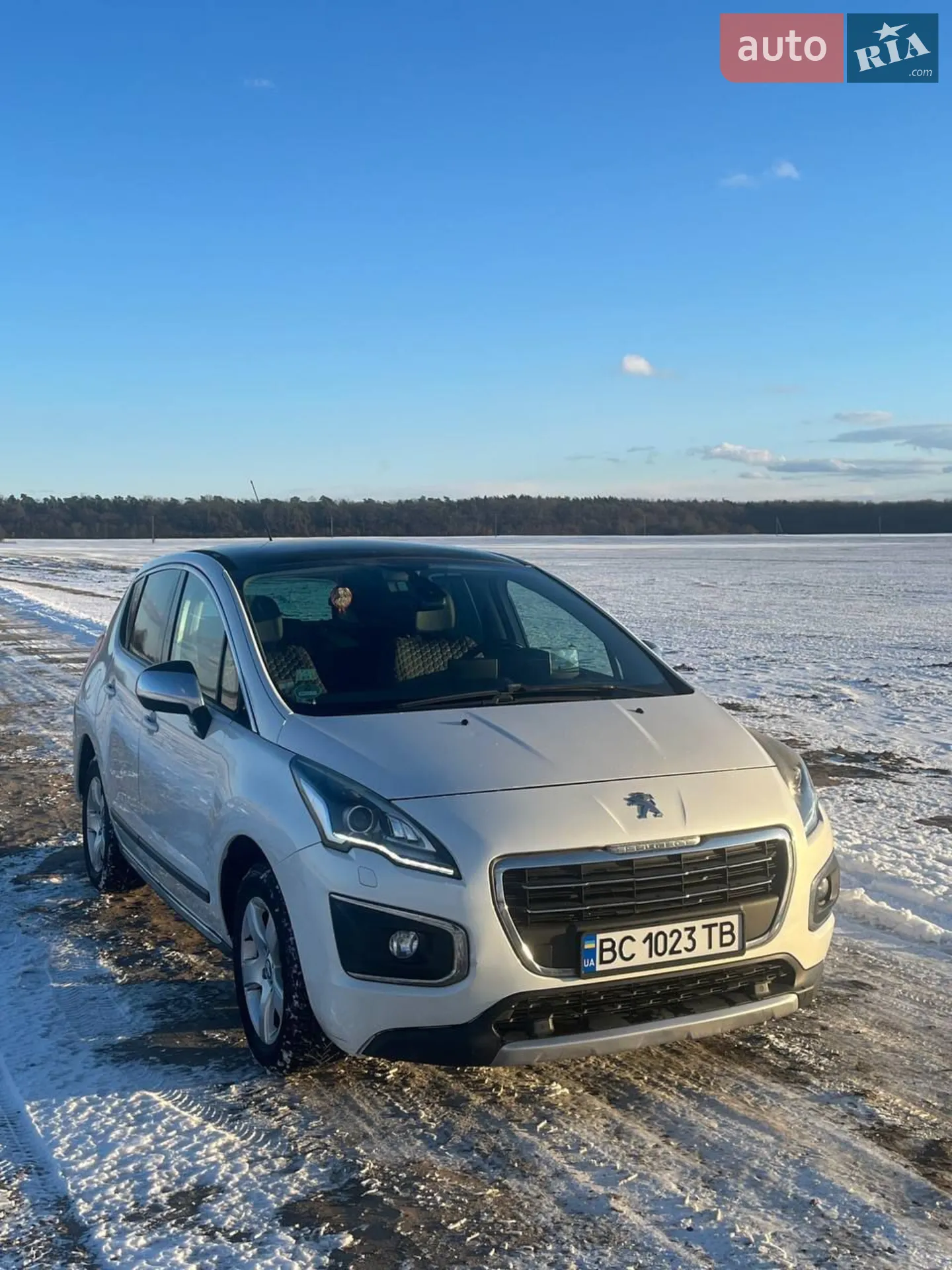 2014 Peugeot 3008 - фото 1
