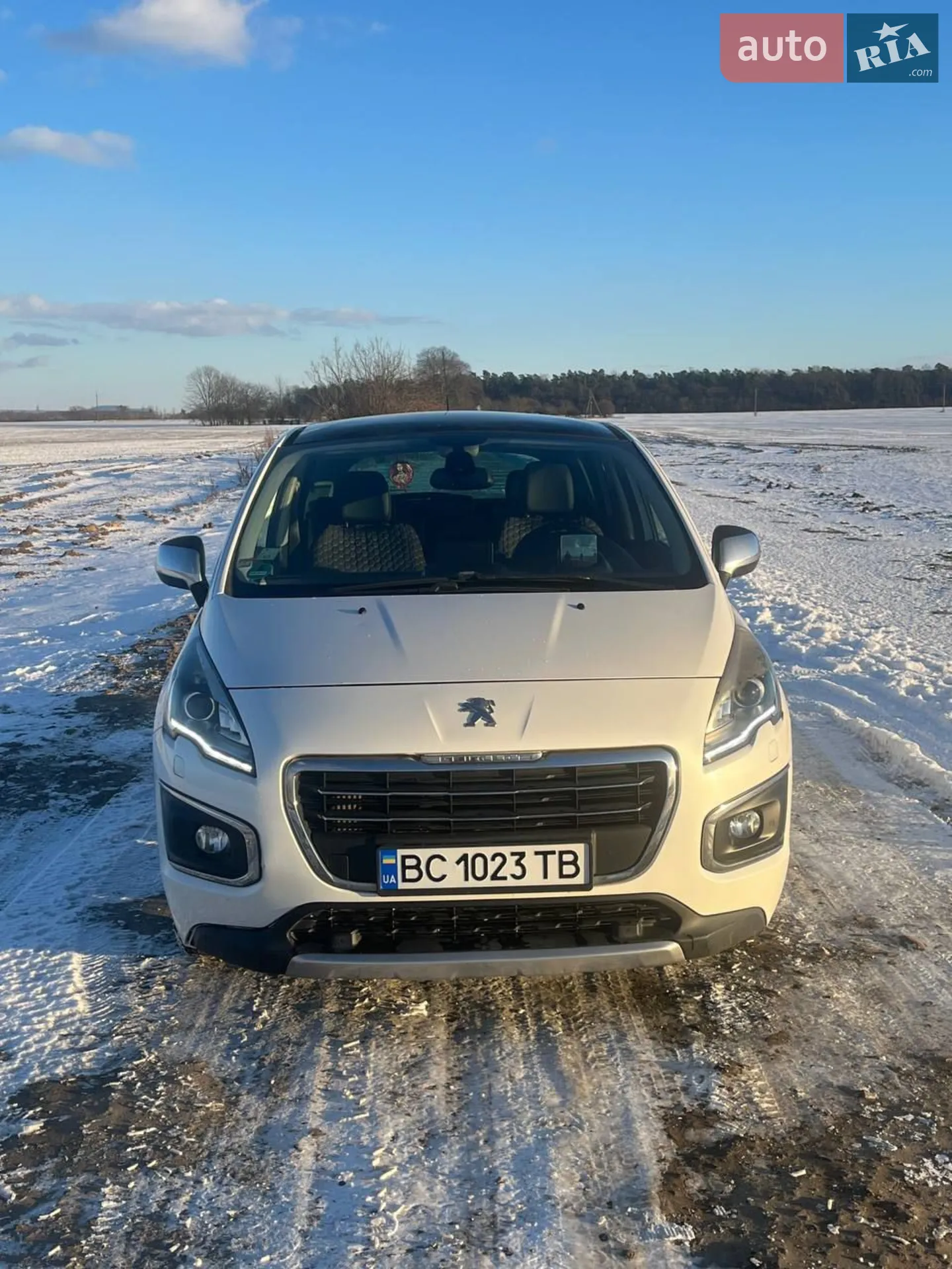 2014 Peugeot 3008 - мініатюра 2