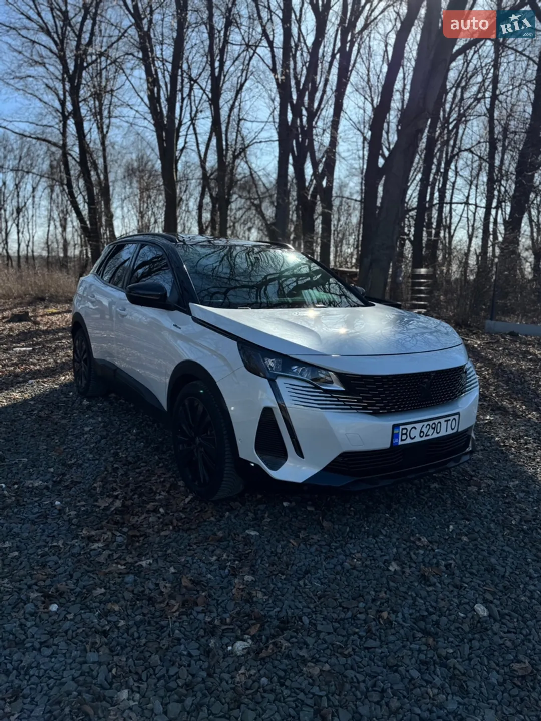 2021 Peugeot 3008 - мініатюра 13