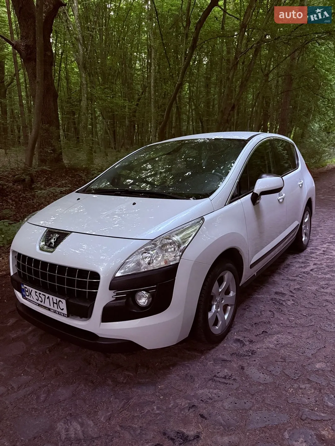 2010 Peugeot 3008 - фото 1