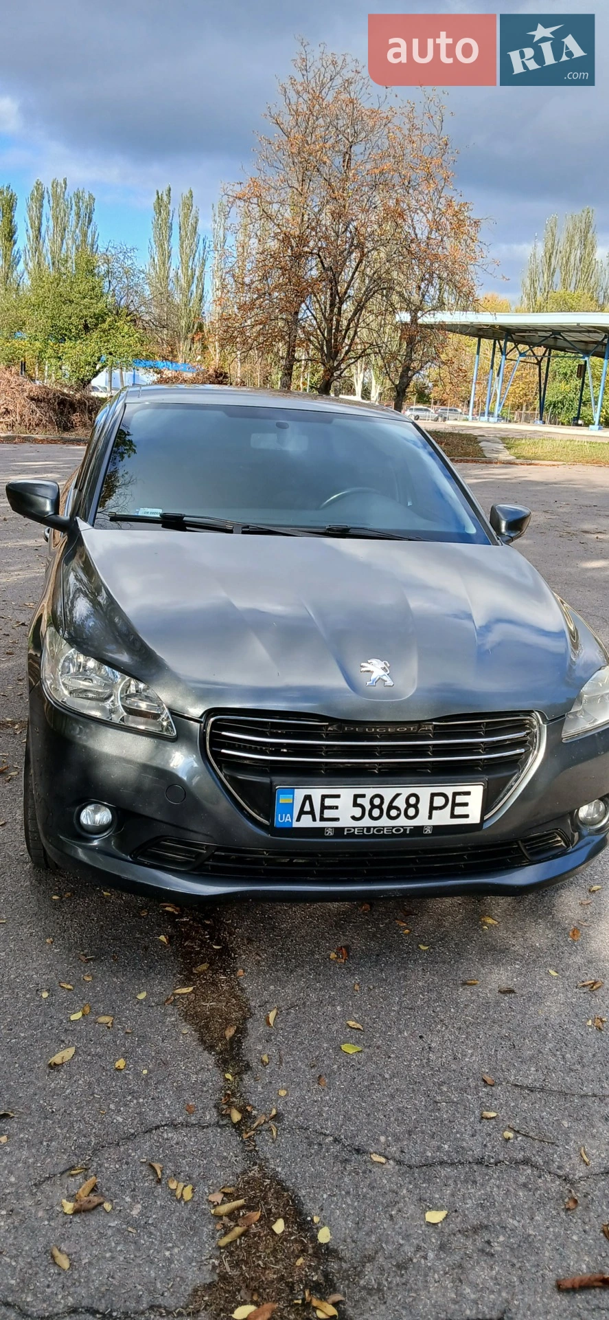 2014 Peugeot 301 - фото 1