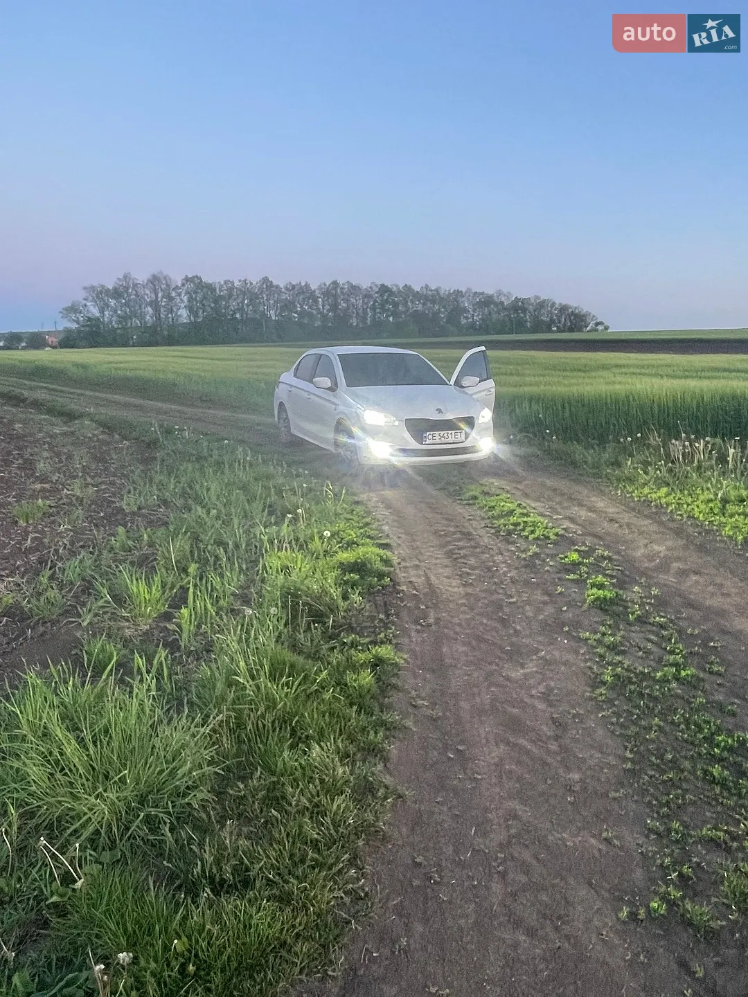 2016 Peugeot 301 - мініатюра 2
